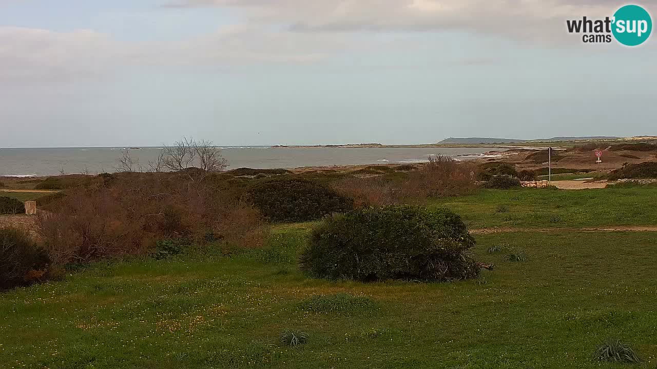 Playa Mari Ermi | Is Arutas – Oristano