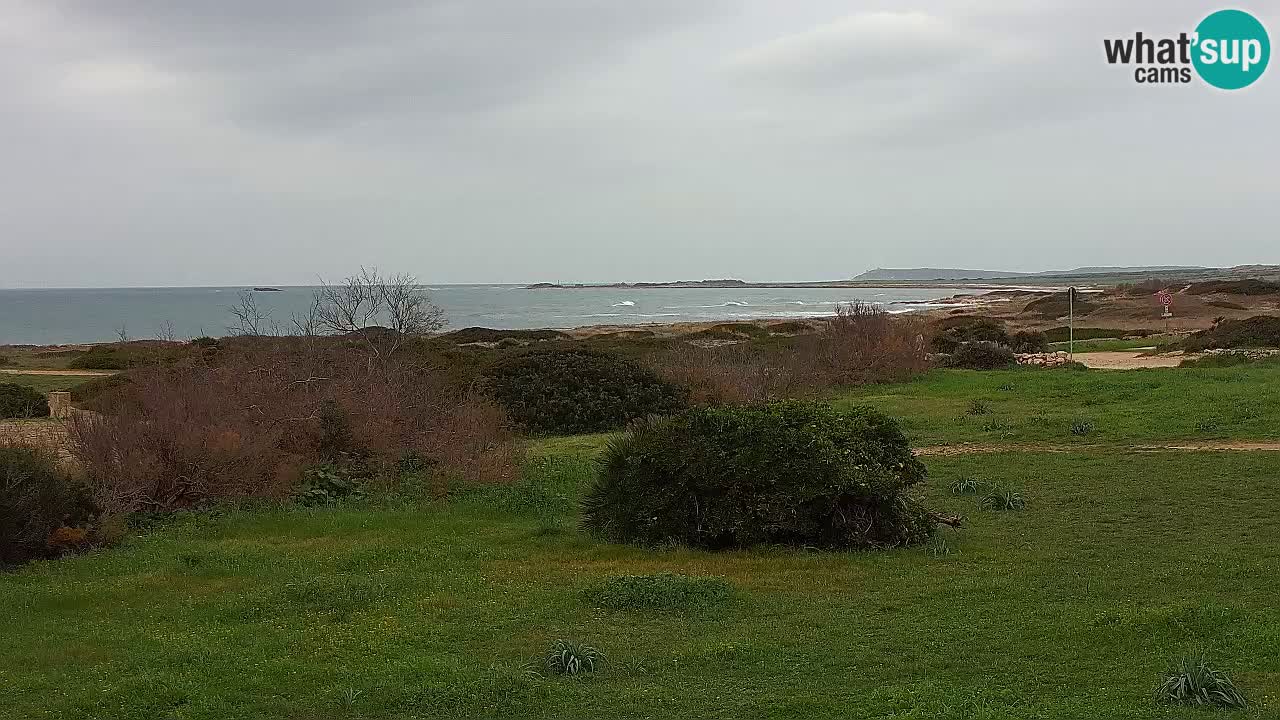 Plaža Mari Ermi | Is Arutas – Oristano