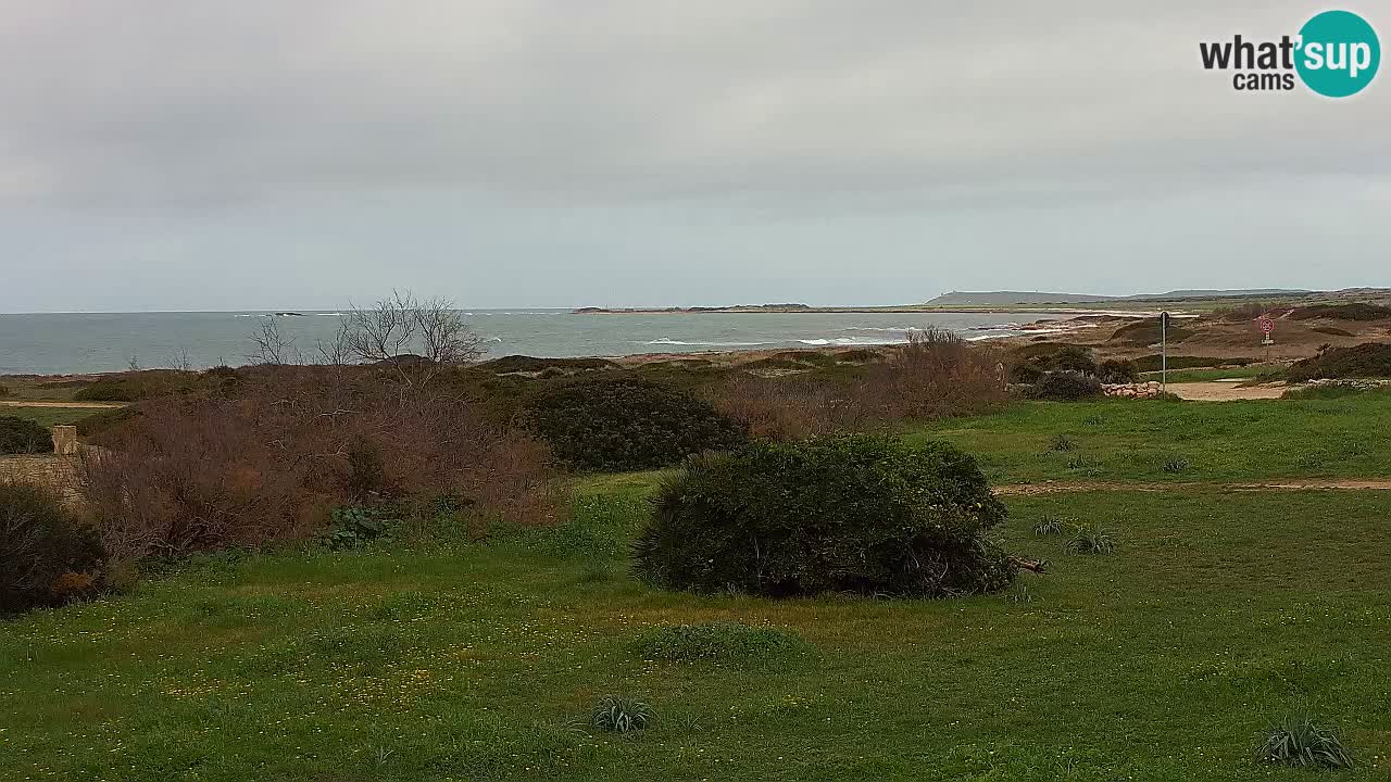 Playa Mari Ermi | Is Arutas – Oristano