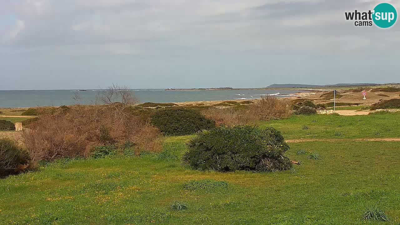 Mari Ermi beach | Is Arutas – Oristano