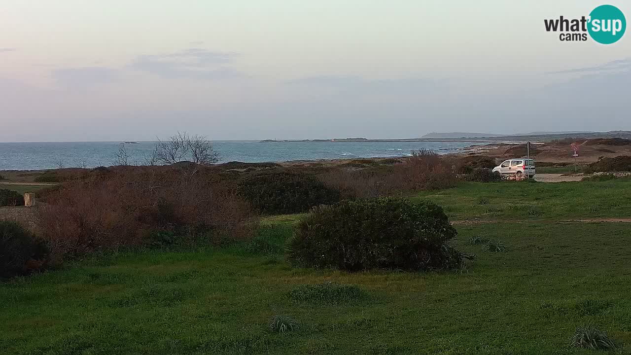 Playa Mari Ermi | Is Arutas – Oristano