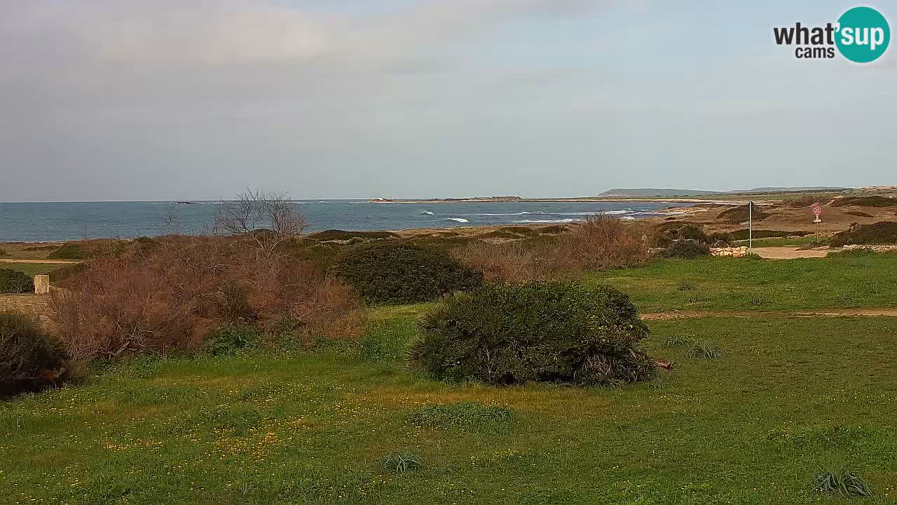 Mari Ermi beach | Is Arutas – Oristano