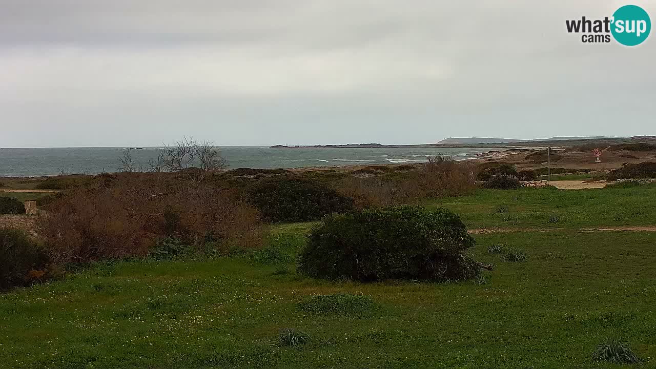 Plaža Mari Ermi | Is Arutas – Oristano