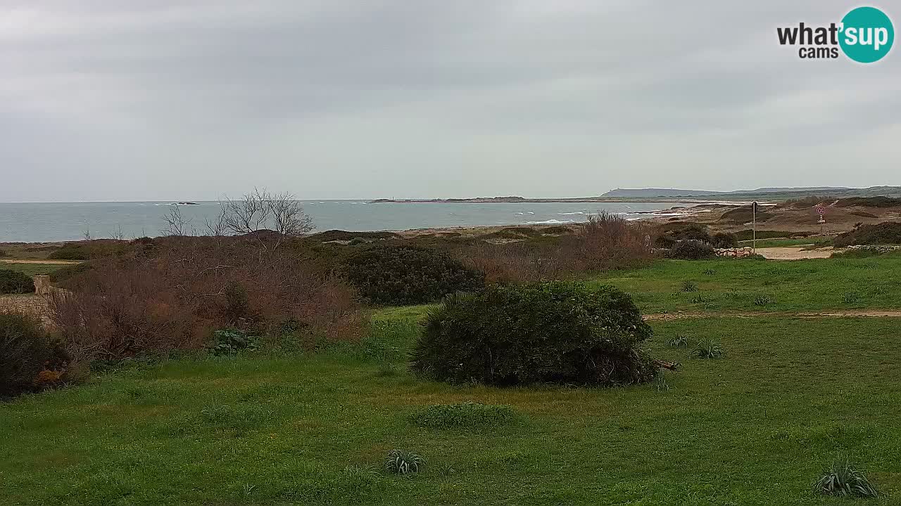 Plage Mari Ermi | Is Arutas – Oristano