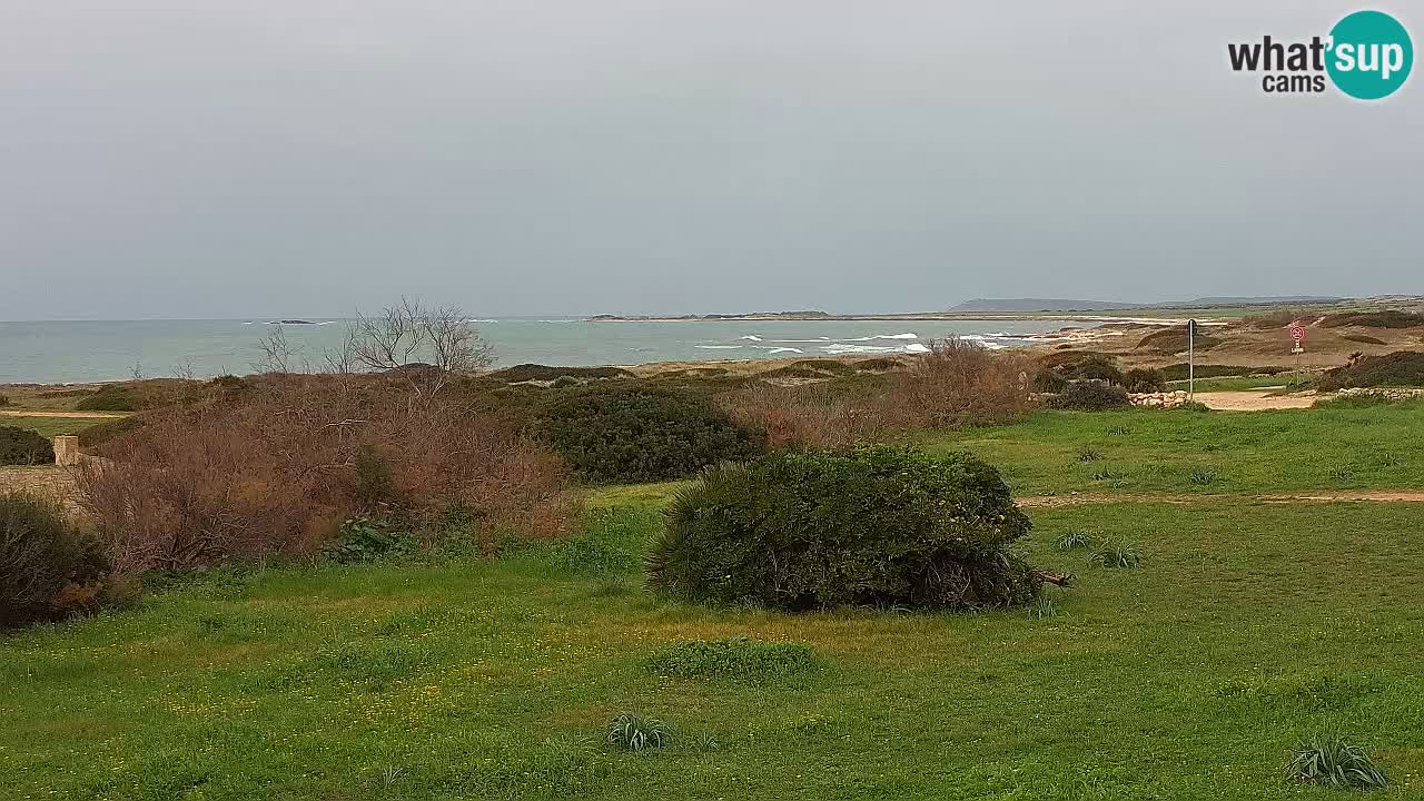 Plaža Mari Ermi | Is Arutas – Oristano