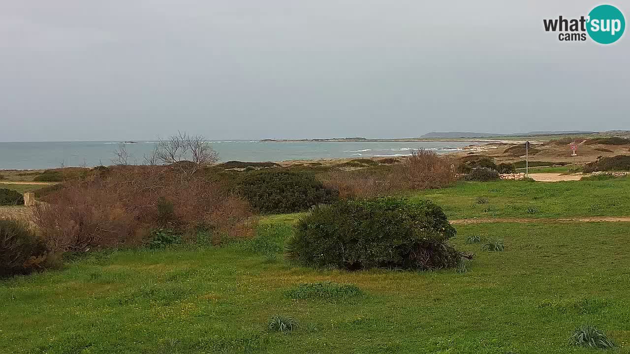 Mari Ermi Strand | Is Arutas – Oristano