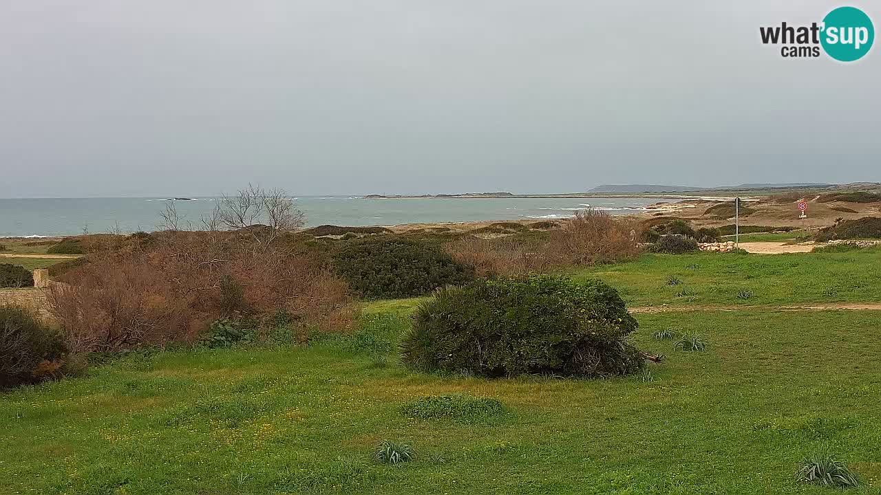 Mari Ermi beach | Is Arutas – Oristano