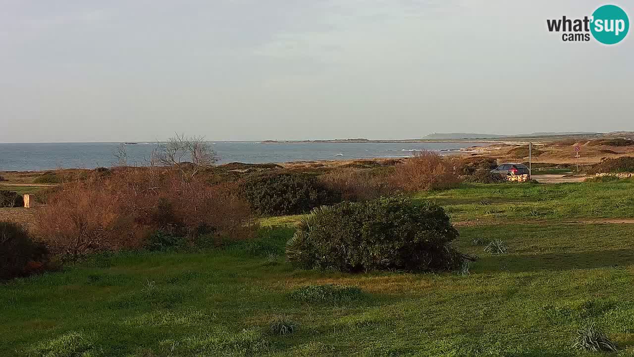 Playa Mari Ermi | Is Arutas – Oristano