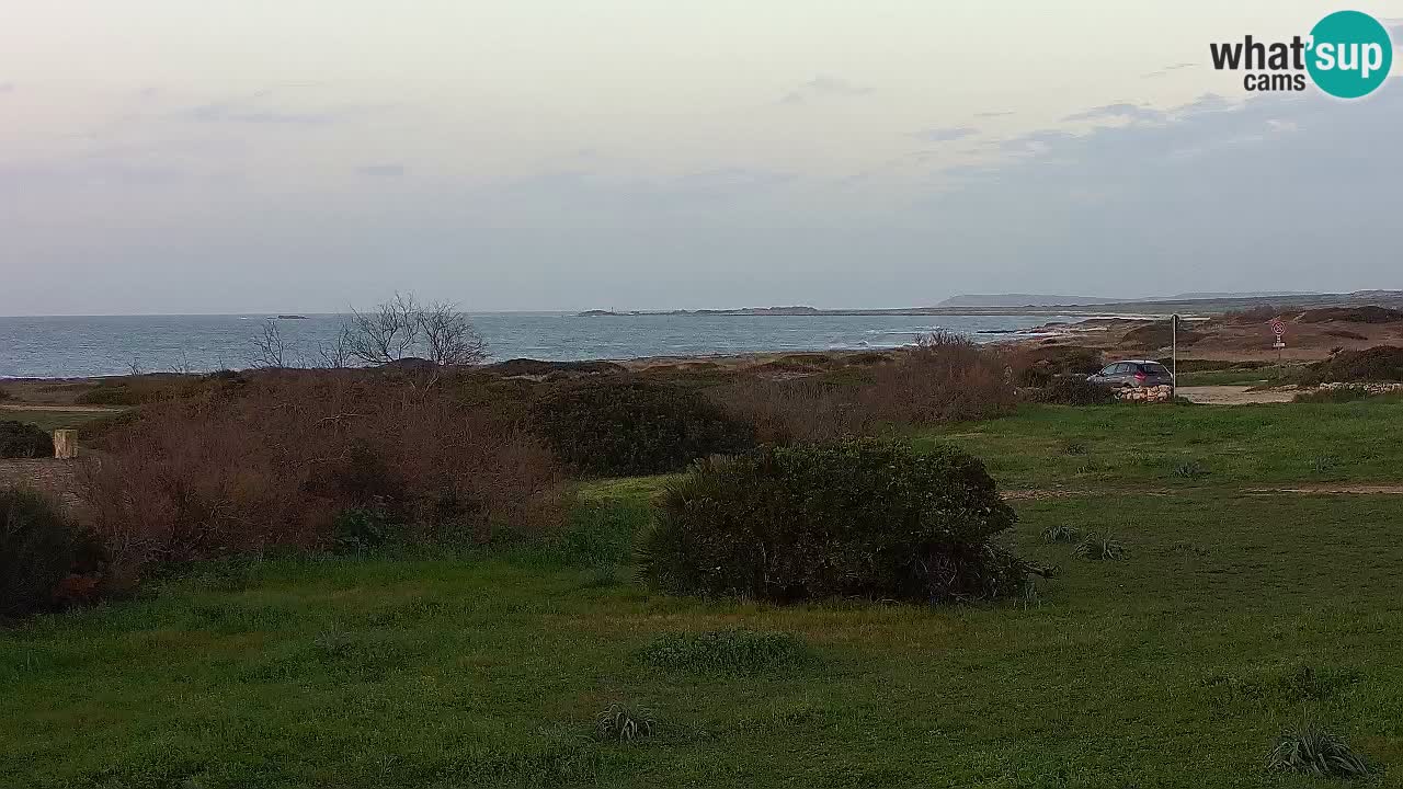 Plage Mari Ermi | Is Arutas – Oristano