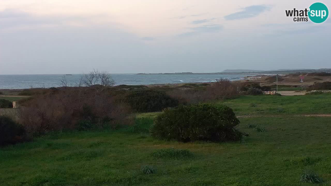 Plage Mari Ermi | Is Arutas – Oristano