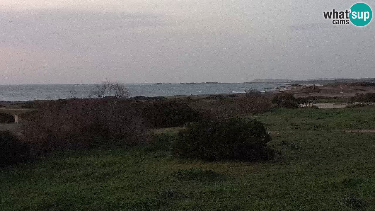 Plage Mari Ermi | Is Arutas – Oristano