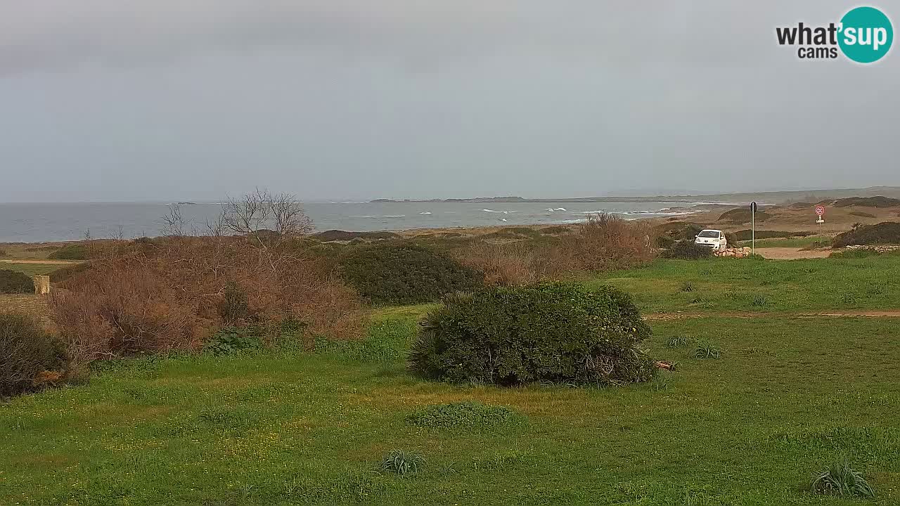Playa Mari Ermi | Is Arutas – Oristano