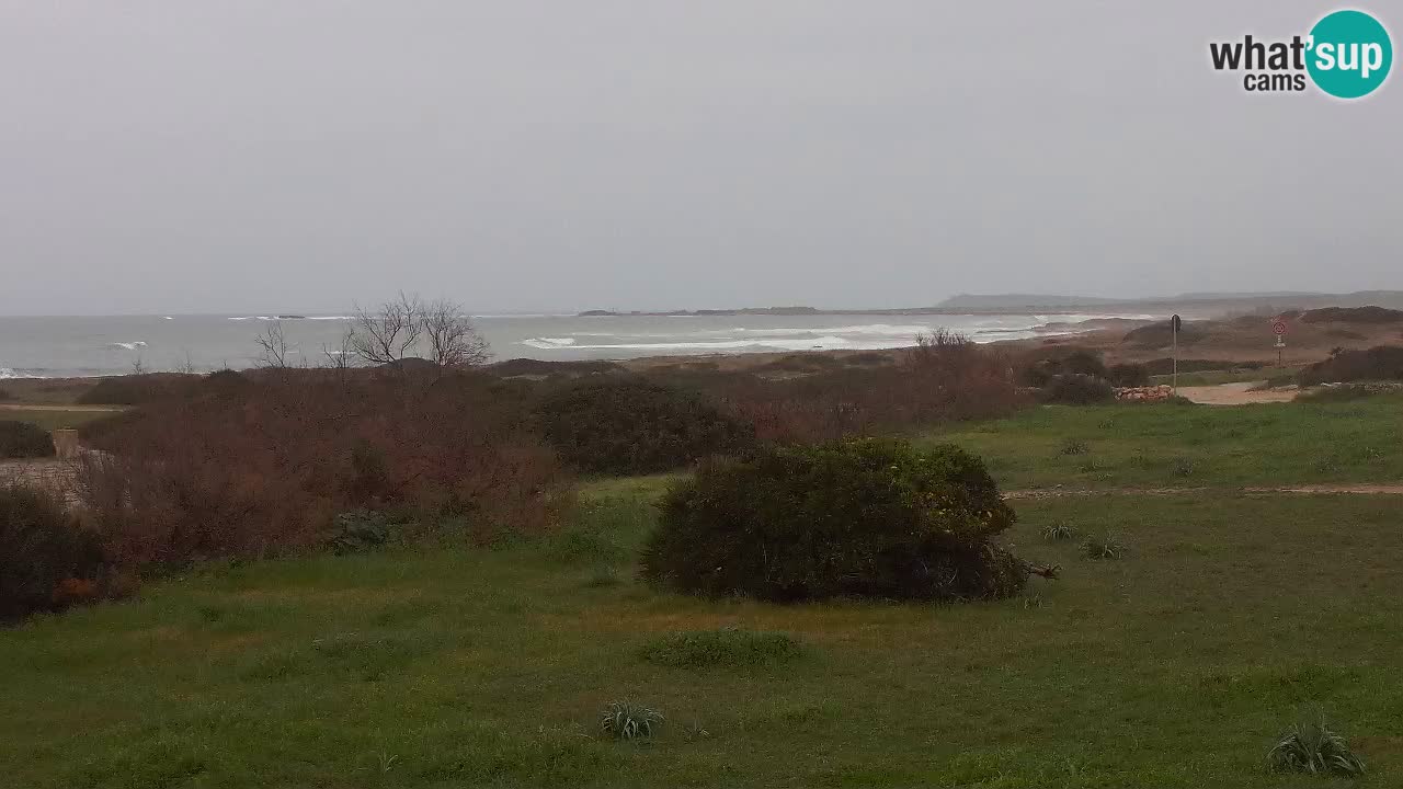 Mari Ermi Strand | Is Arutas – Oristano