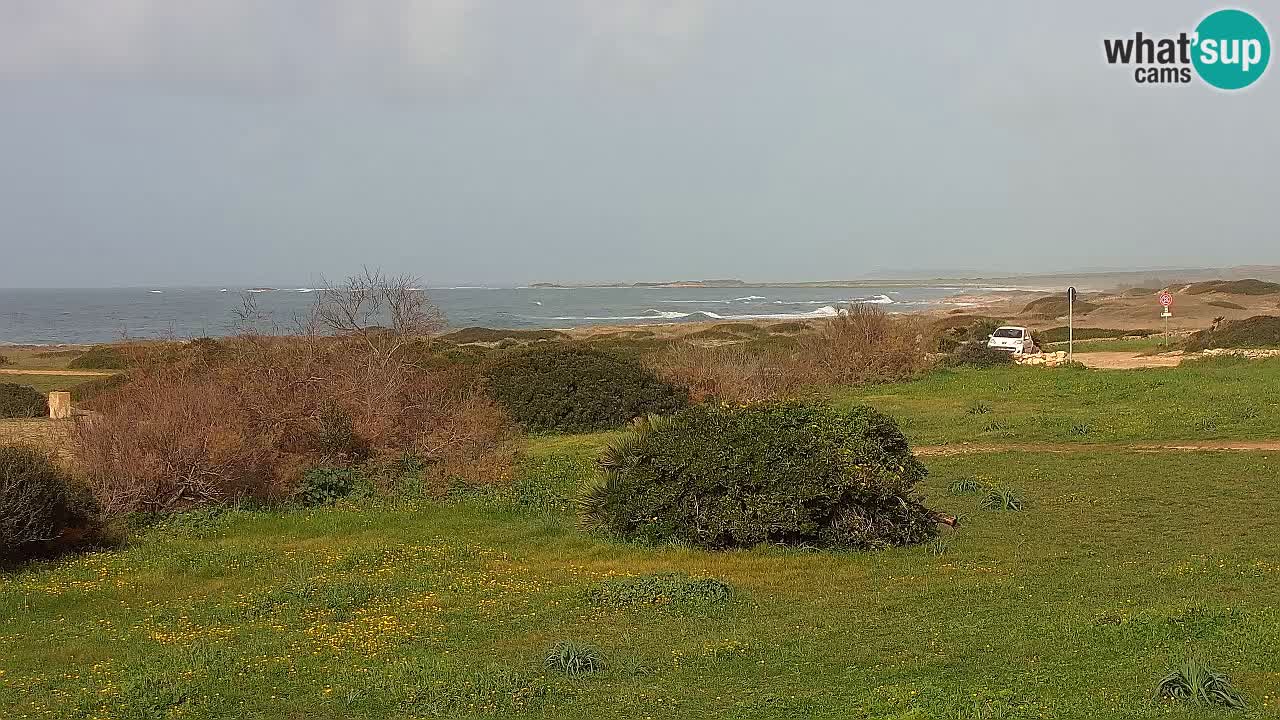 Plaža Mari Ermi | Is Arutas – Oristano