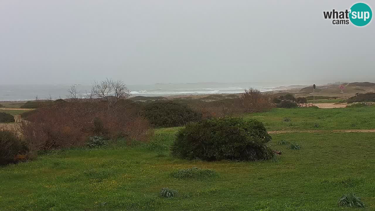 Plaža Mari Ermi | Is Arutas – Oristano