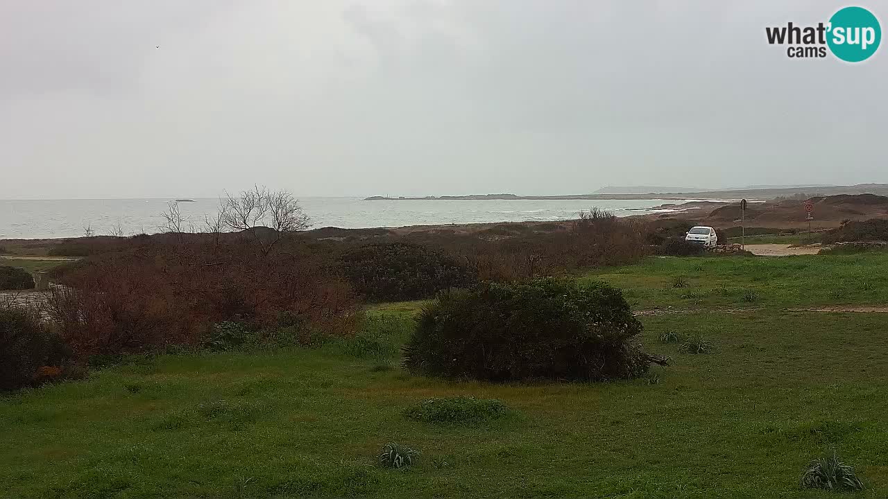 Mari Ermi beach | Is Arutas – Oristano