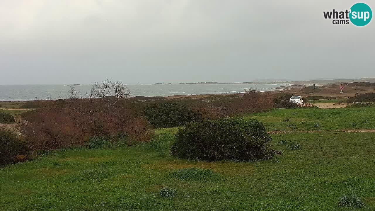 Plaža Mari Ermi | Is Arutas – Oristano