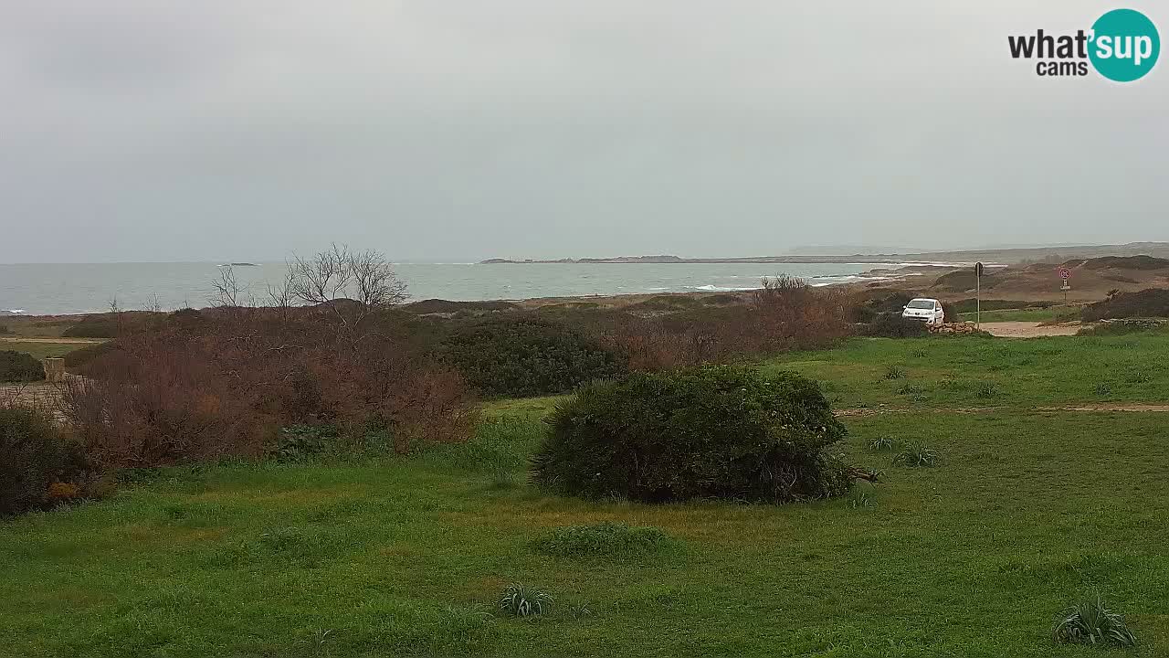 Playa Mari Ermi | Is Arutas – Oristano