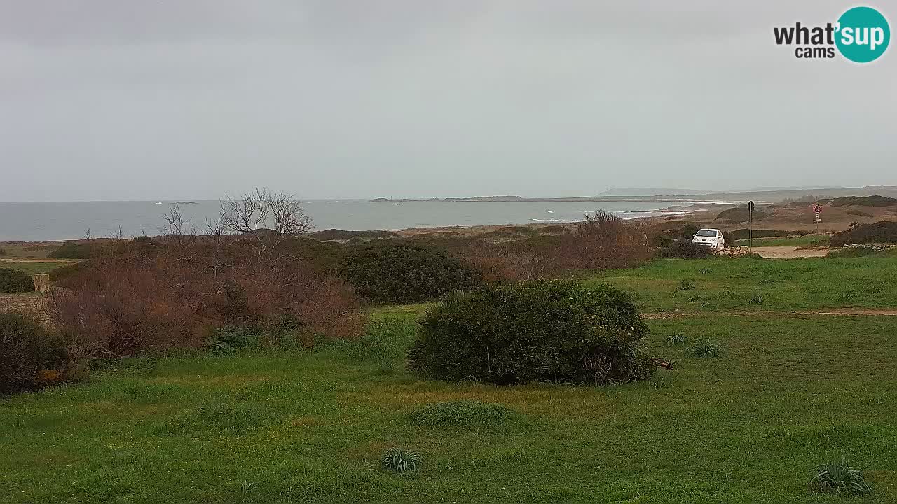 Playa Mari Ermi | Is Arutas – Oristano