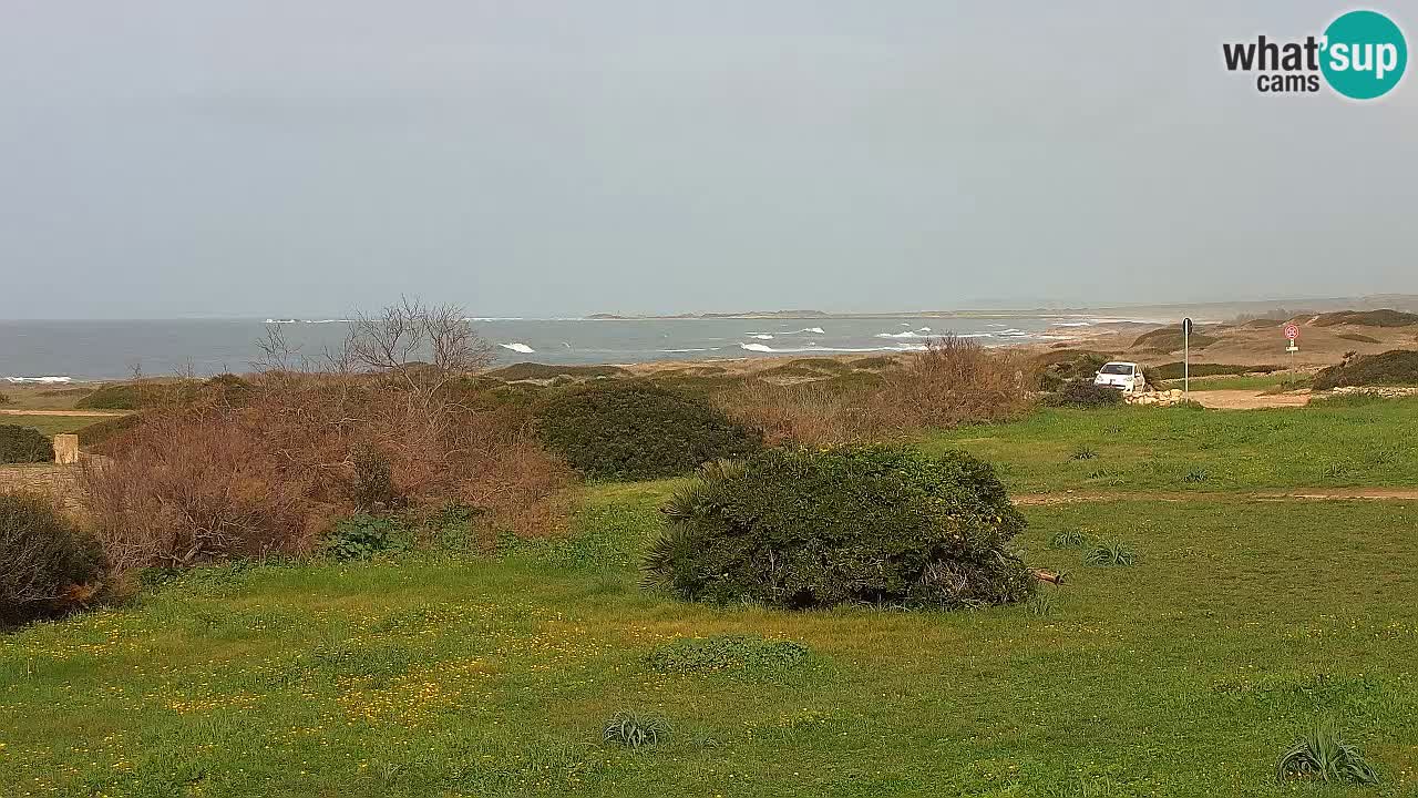 Mari Ermi Strand | Is Arutas – Oristano