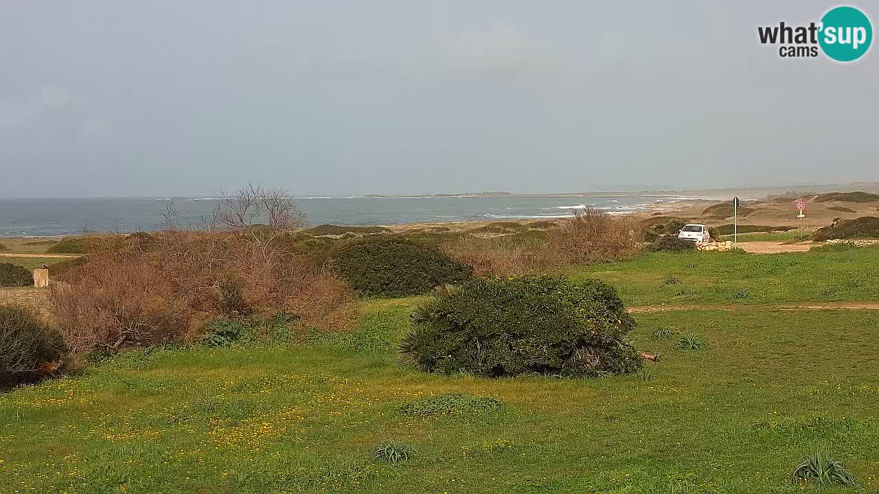 Spiaggia Mari Ermi | Is Arutas – Oristano