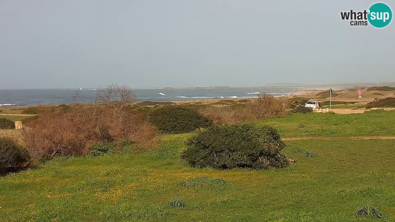 Plage Mari Ermi | Is Arutas – Oristano