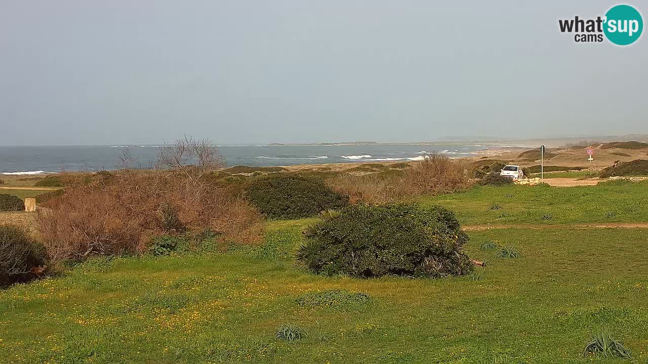 Plage Mari Ermi | Is Arutas – Oristano