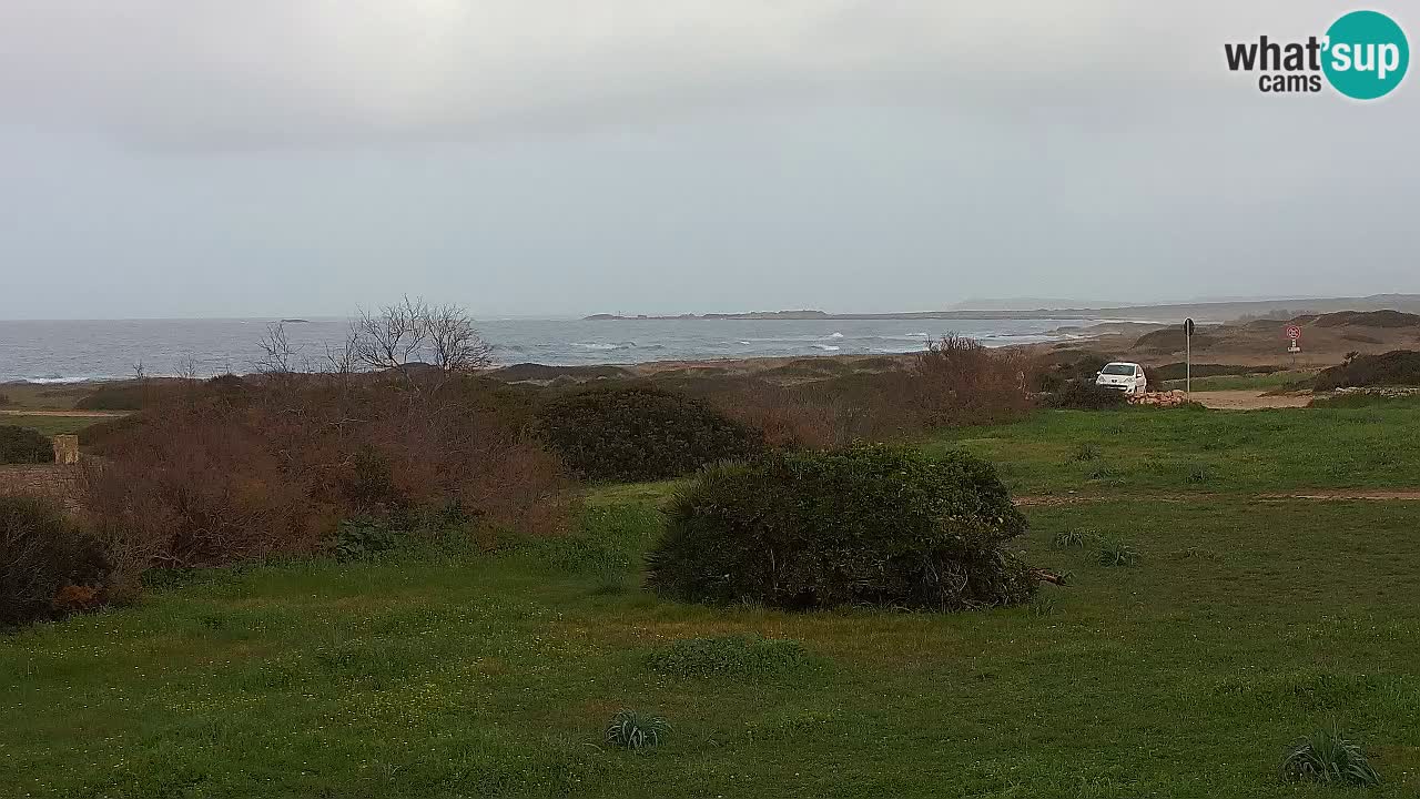 Playa Mari Ermi | Is Arutas – Oristano