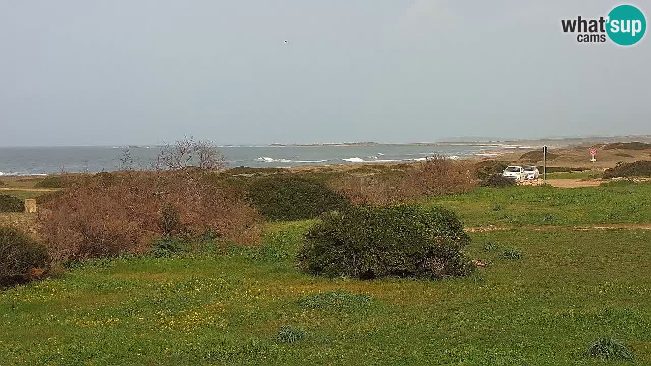 Plaža Mari Ermi | Is Arutas – Oristano