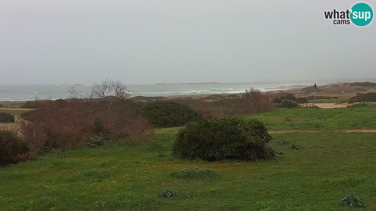 Plaža Mari Ermi | Is Arutas – Oristano