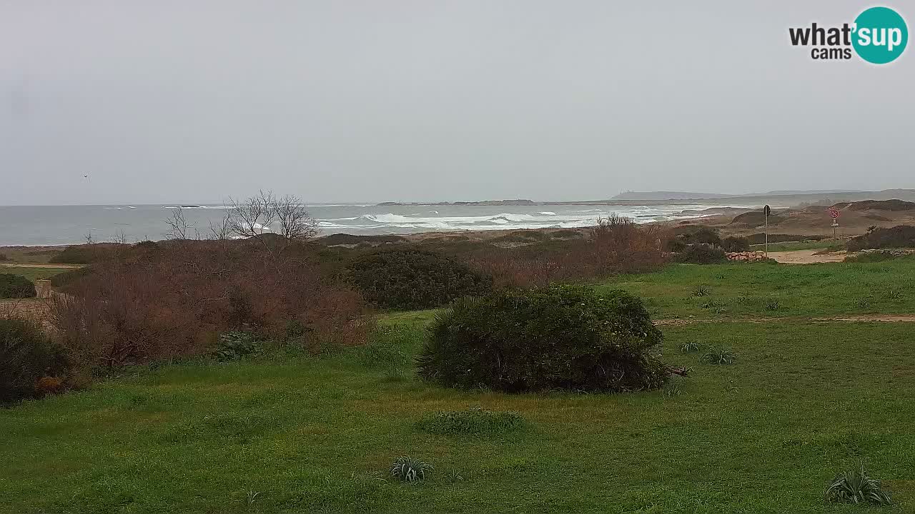 Spiaggia Mari Ermi | Is Arutas – Oristano