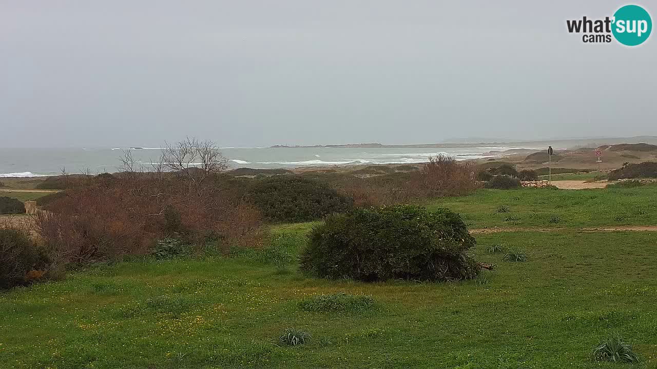 Plaža Mari Ermi | Is Arutas – Oristano