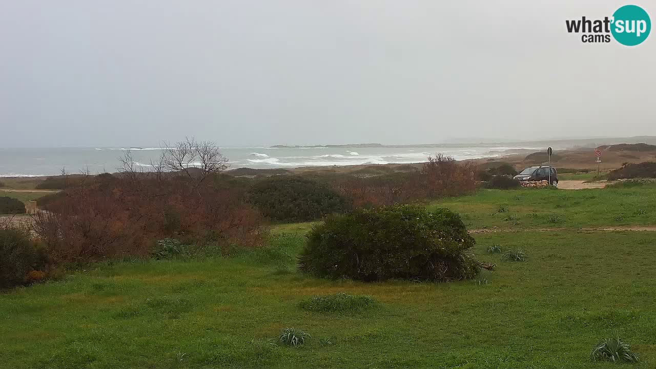 Plage Mari Ermi | Is Arutas – Oristano