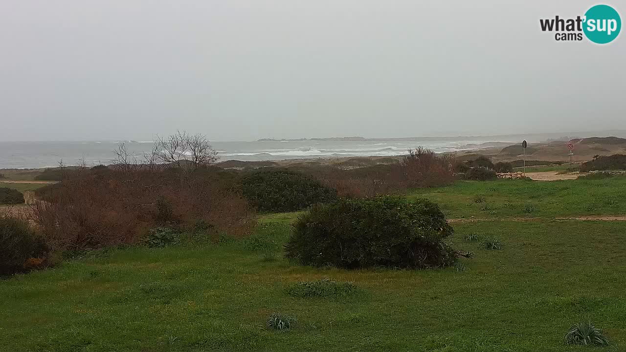 Spiaggia Mari Ermi | Is Arutas – Oristano