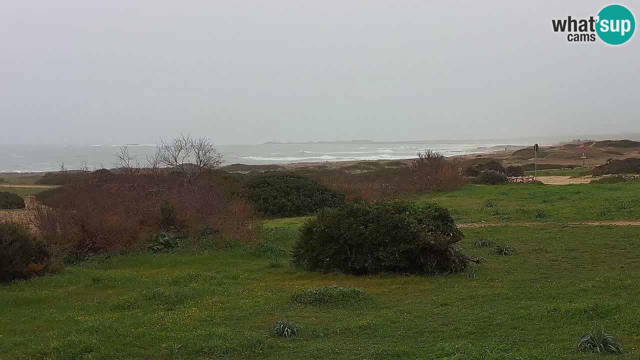 Playa Mari Ermi | Is Arutas – Oristano