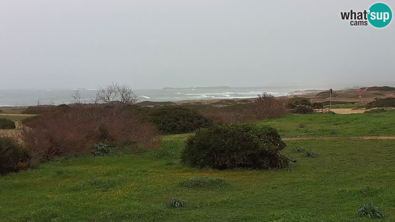 Plage Mari Ermi | Is Arutas – Oristano