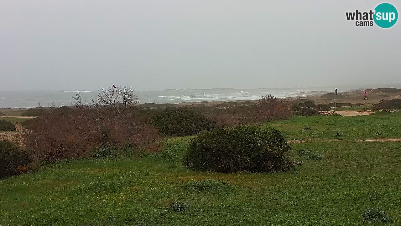 Plaža Mari Ermi | Is Arutas – Oristano