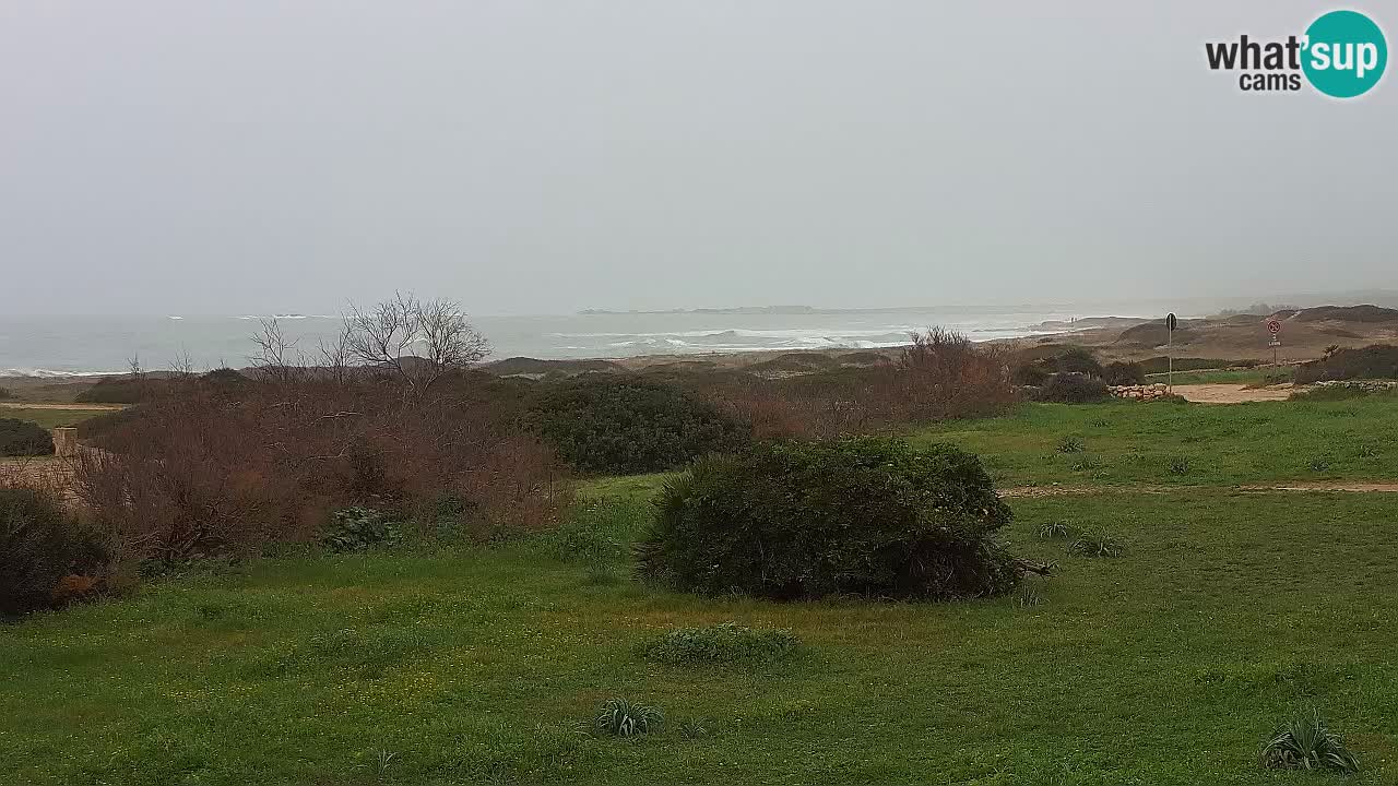 Plaža Mari Ermi | Is Arutas – Oristano