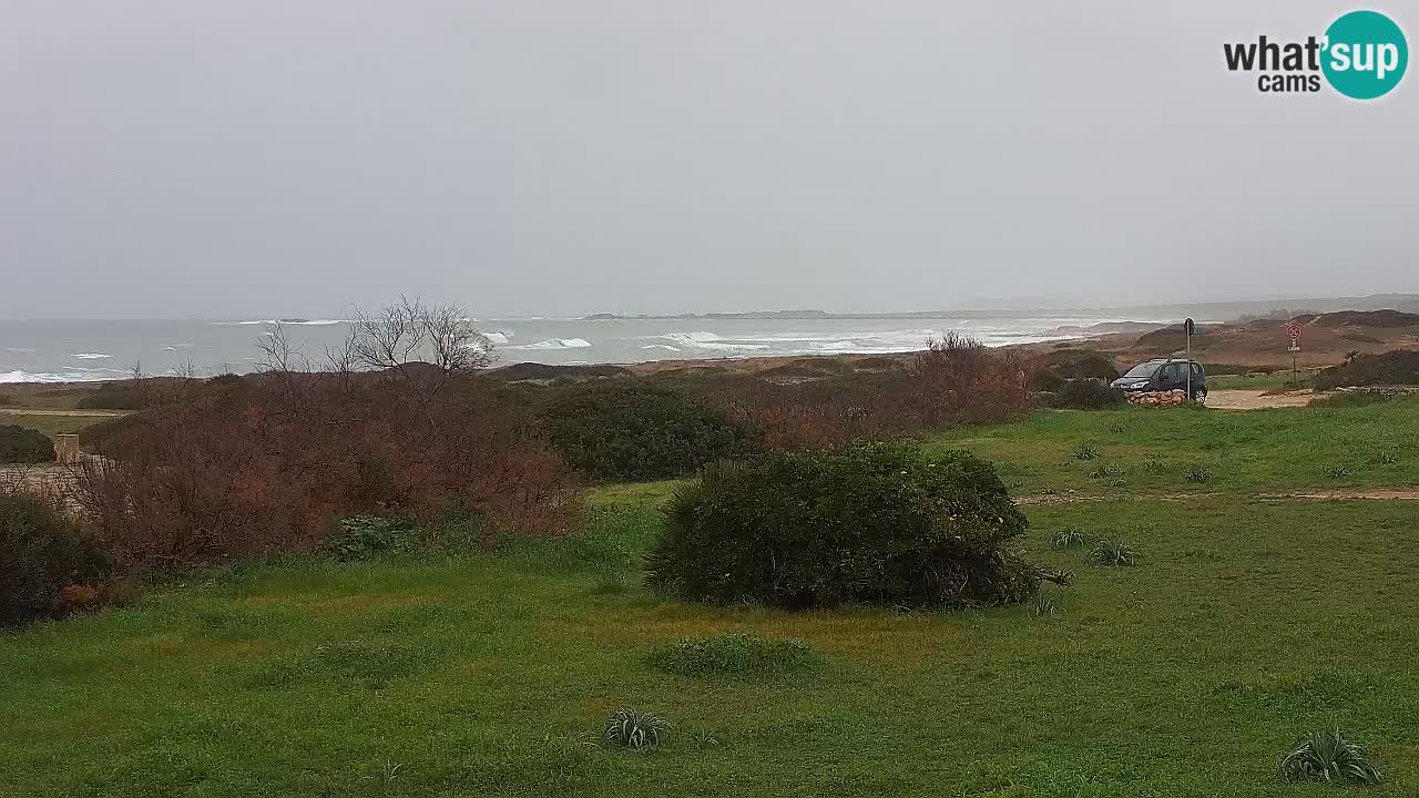 Mari Ermi Strand | Is Arutas – Oristano