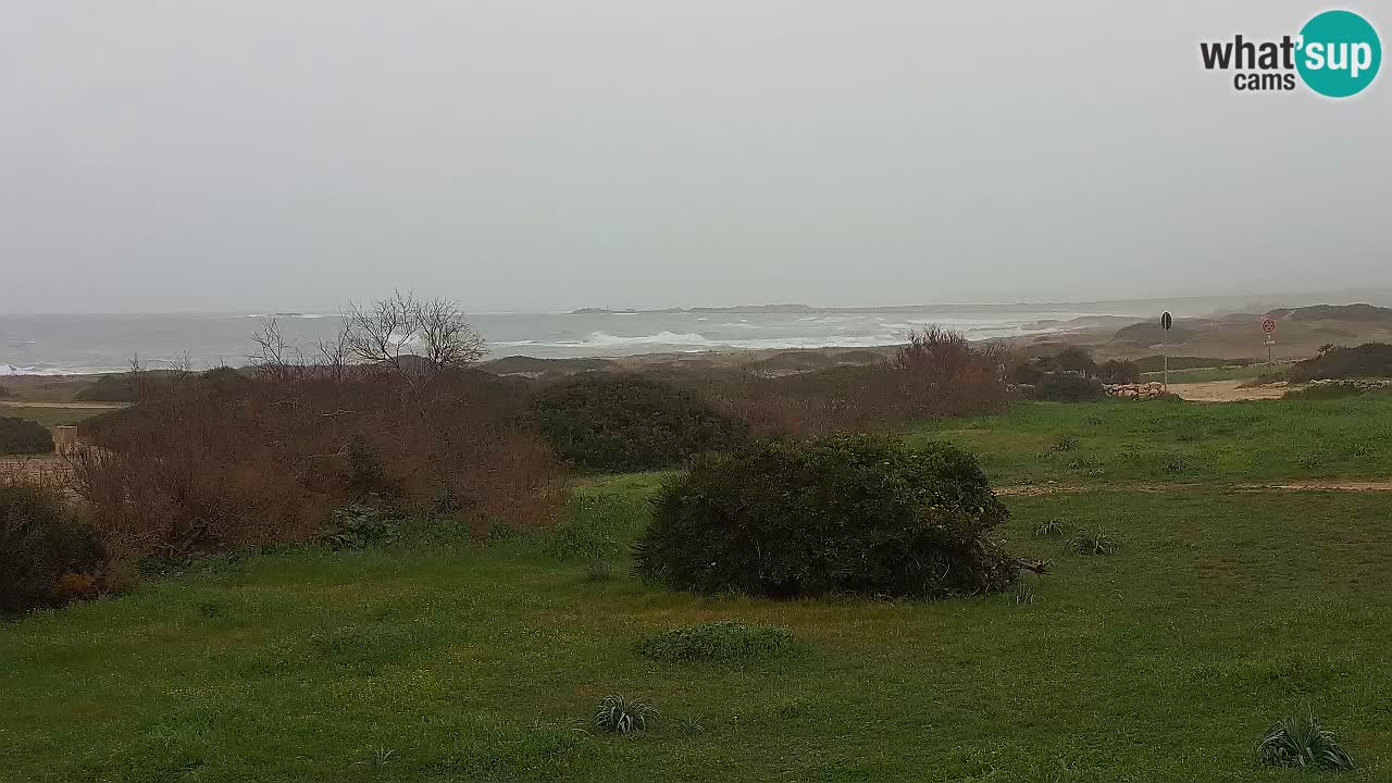 Spiaggia Mari Ermi | Is Arutas – Oristano