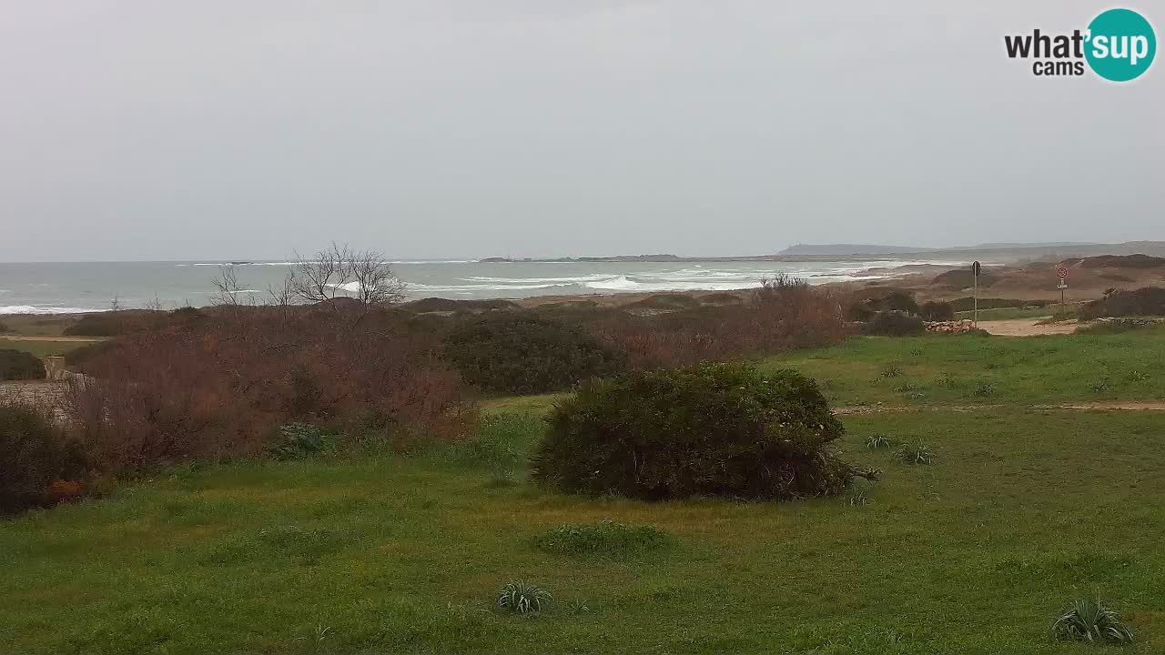 Mari Ermi Strand | Is Arutas – Oristano