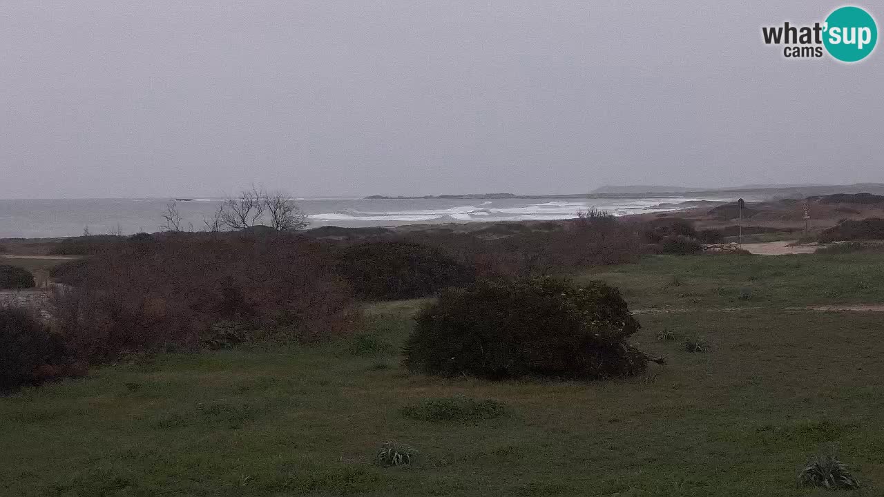 Mari Ermi beach | Is Arutas – Oristano