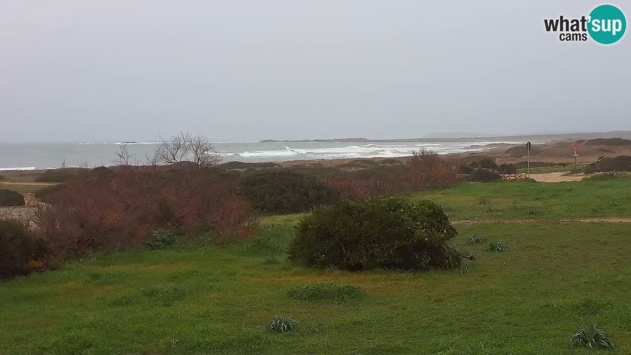 Playa Mari Ermi | Is Arutas – Oristano