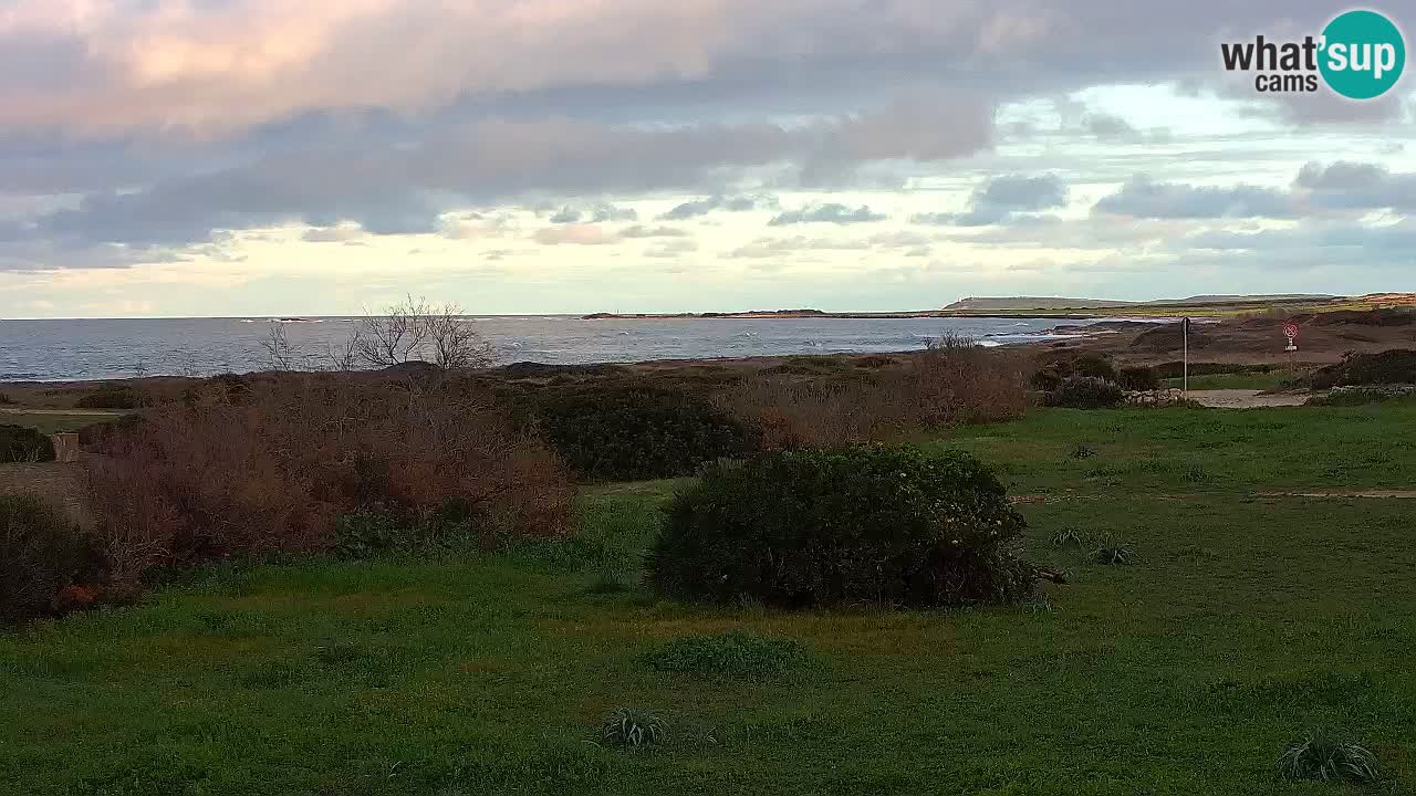 Mari Ermi Strand | Is Arutas – Oristano