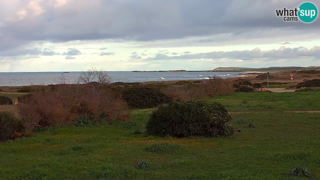 Plaža Mari Ermi | Is Arutas – Oristano