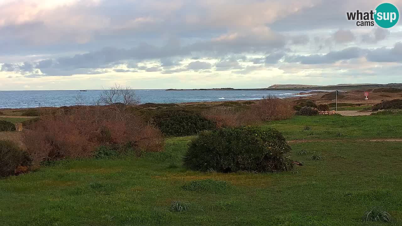 Spiaggia Mari Ermi | Is Arutas – Oristano