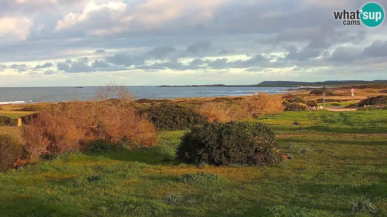 Plaža Mari Ermi | Is Arutas – Oristano