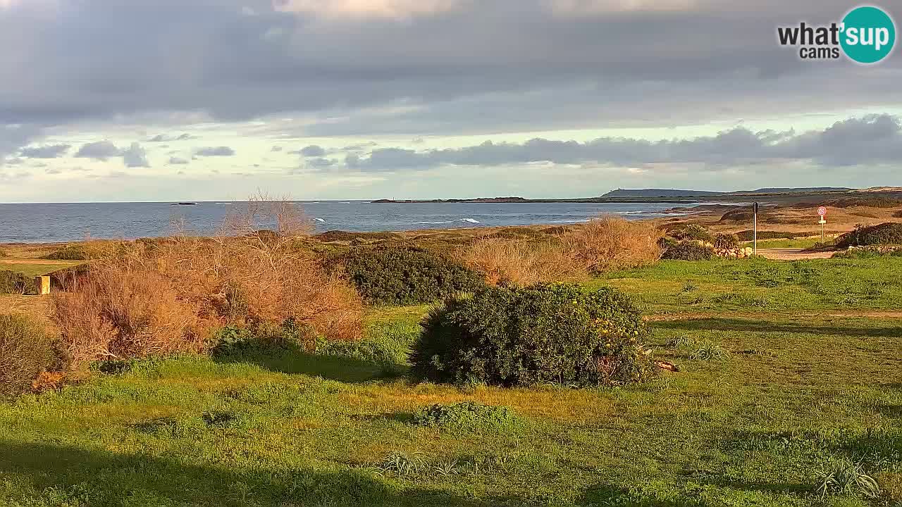 Plaža Mari Ermi | Is Arutas – Oristano