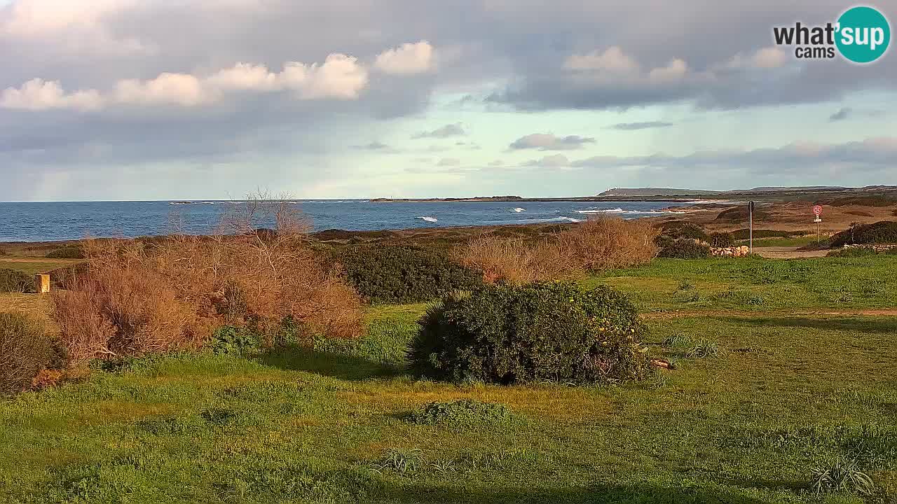 Plaža Mari Ermi | Is Arutas – Oristano