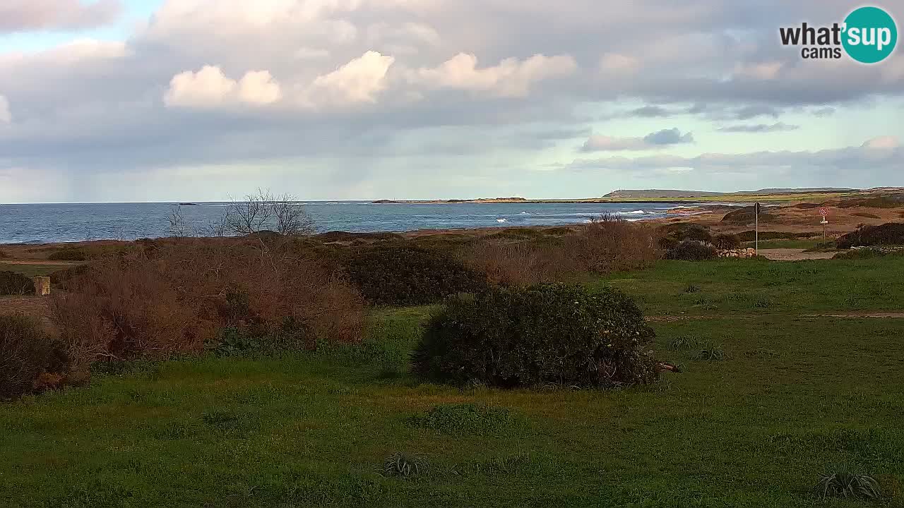 Playa Mari Ermi | Is Arutas – Oristano